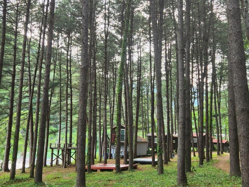 Hongcheon Gongjaksan Recreational Forest Pension Zewnętrze zdjęcie