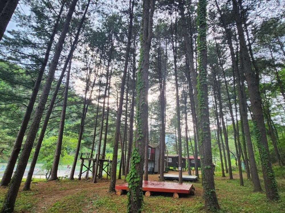 Hongcheon Gongjaksan Recreational Forest Pension Zewnętrze zdjęcie