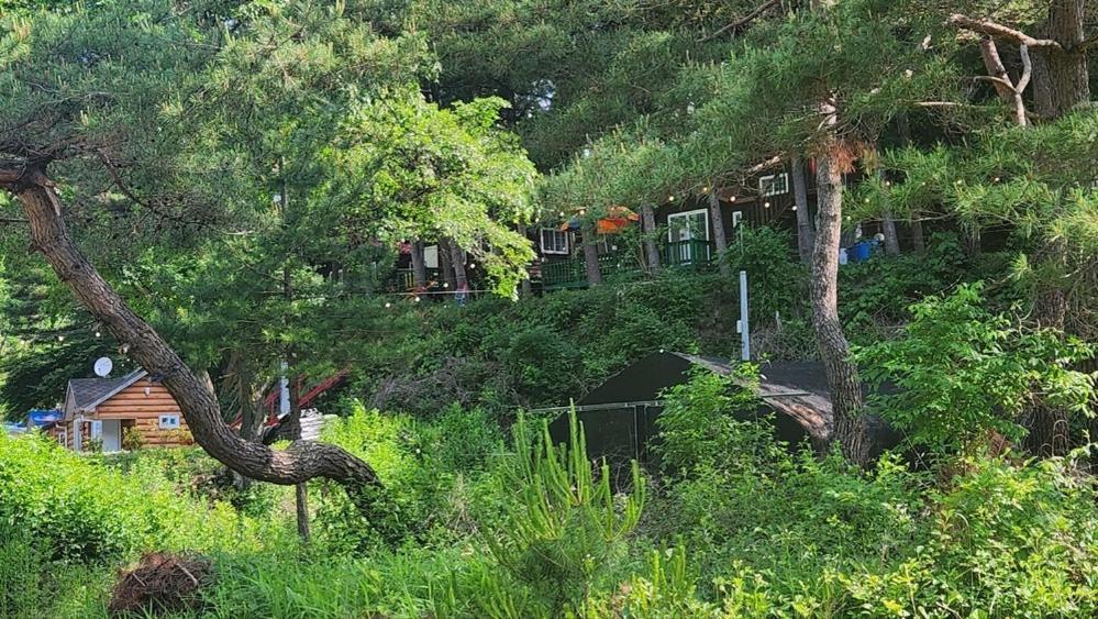 Hongcheon Gongjaksan Recreational Forest Pension Zewnętrze zdjęcie